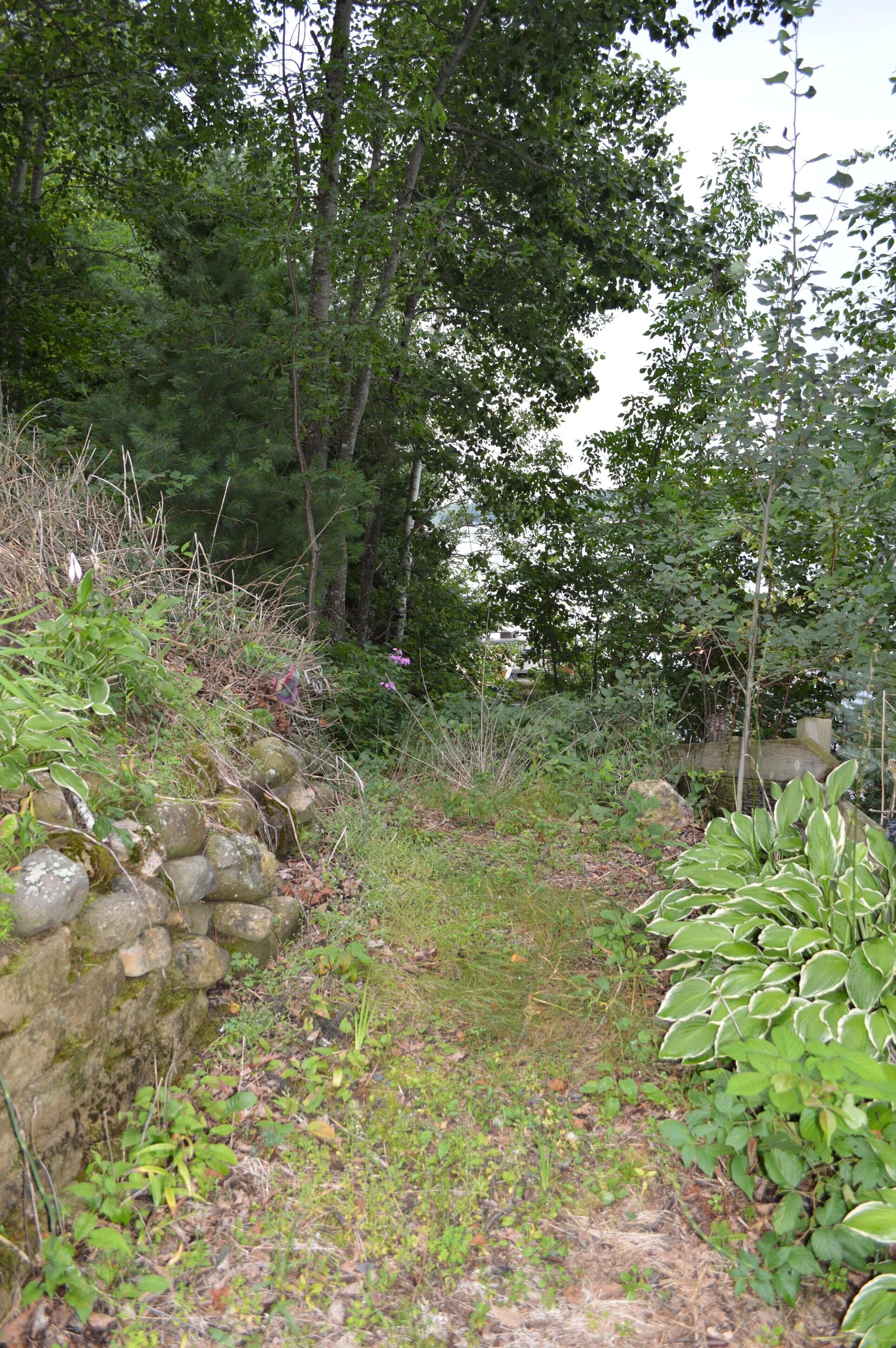 Un espacio natural al aire libre con un muro de piedra, vegetación densa y una variedad de plantas.