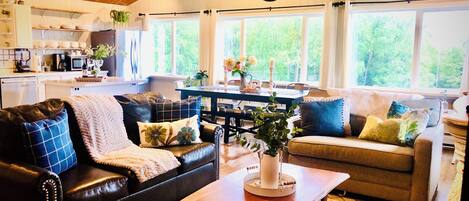 تلفزيون، مدفأة، ألعاب فيديو، مشغل دي في دي