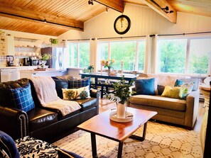 Télévision, cheminée, jeux vidéo, lecteur de DVD