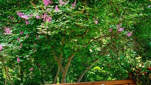 An outdoor deck with a sofa, cushions, a small table, and lanterns. - Lovely 3br/2ba Hideaway! Great for Groups & Families! Inlet & Denali Views (Anchorage)