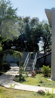 Una escalera que conduce a un edificio con un muro de ladrillo y árboles al fondo.