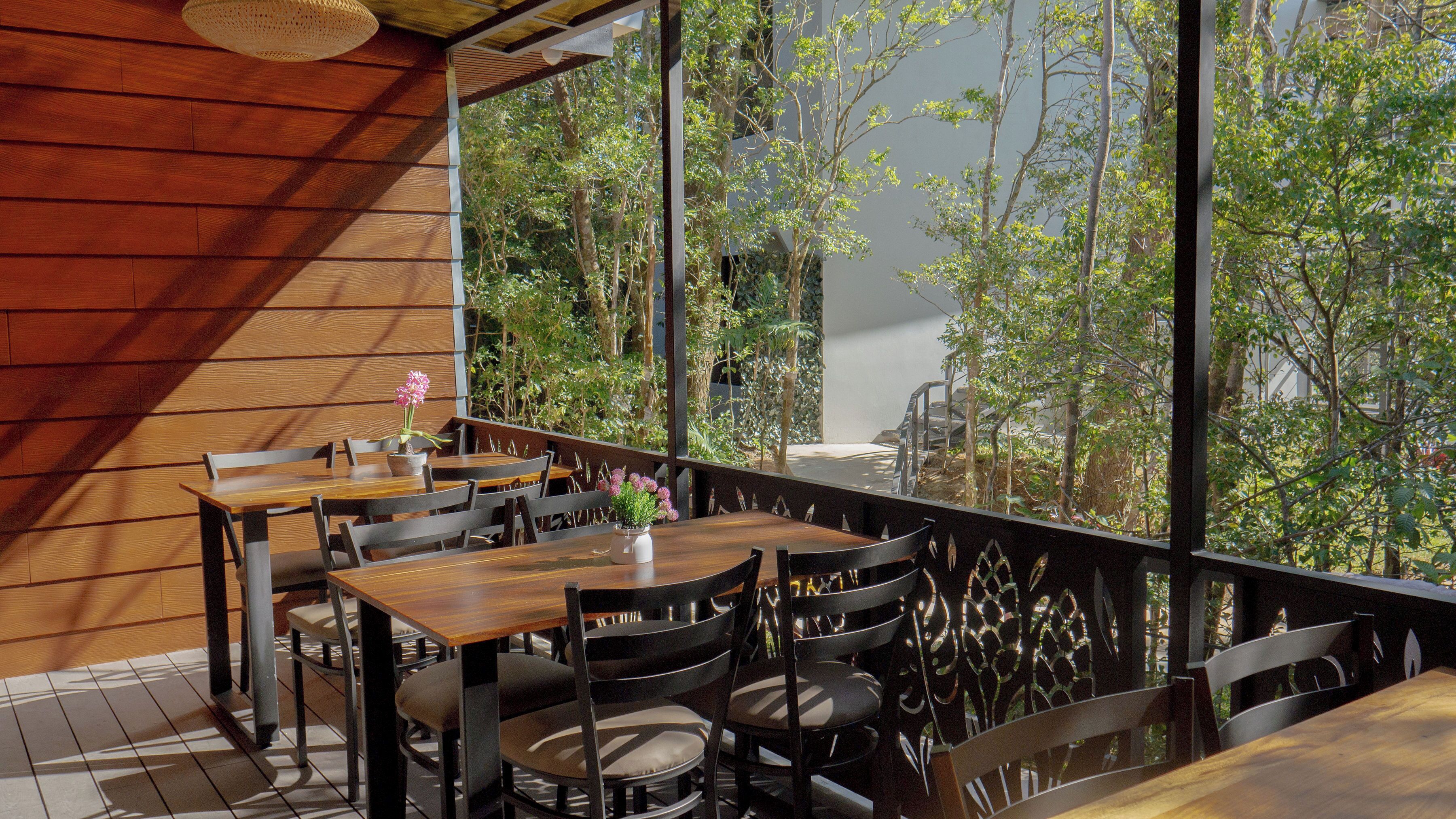 An outdoor seating area with wooden tables and chairs, a potted plant, and a view of trees and buildings.