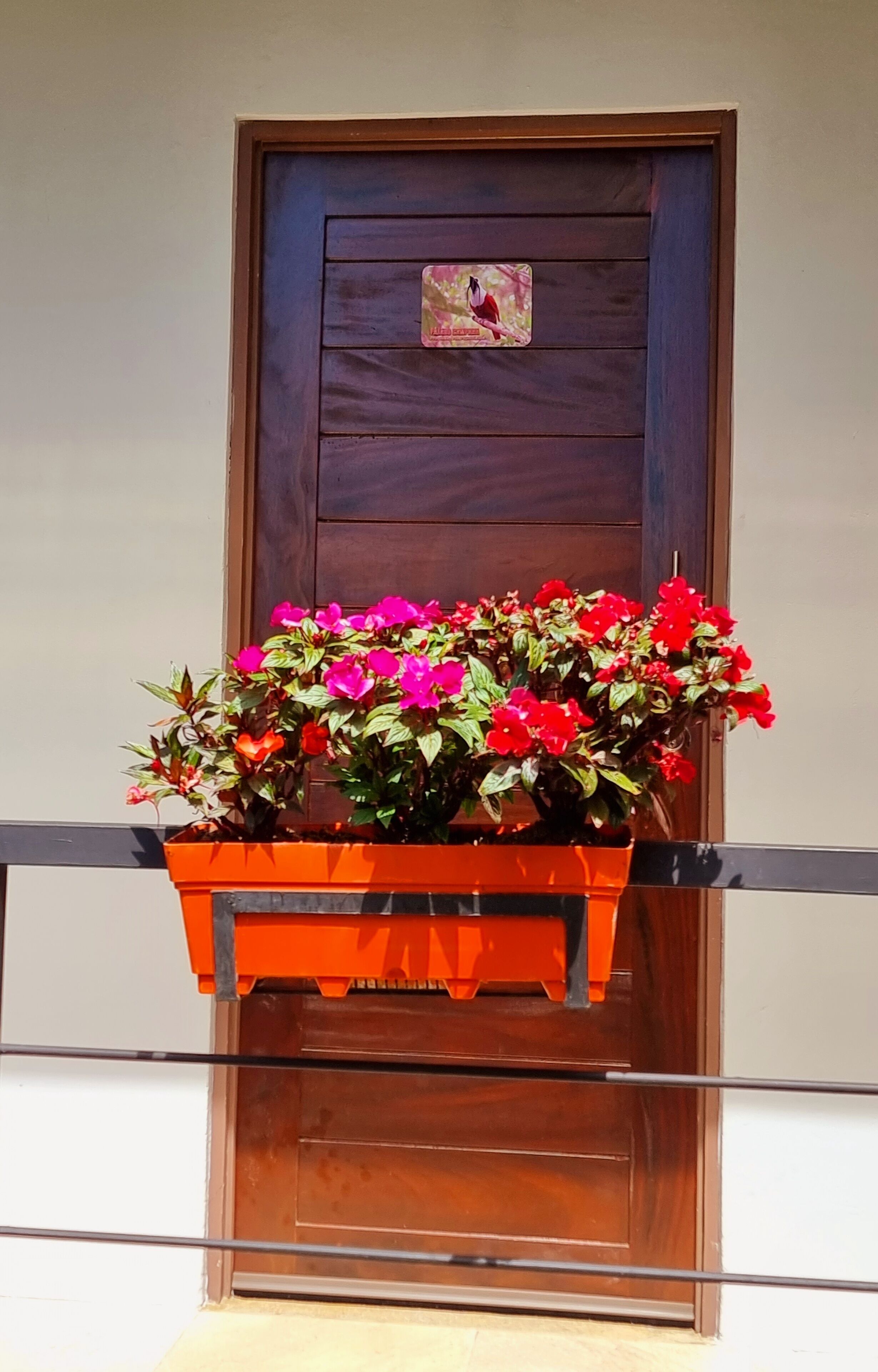 A wooden door with a small decorative plate above it.