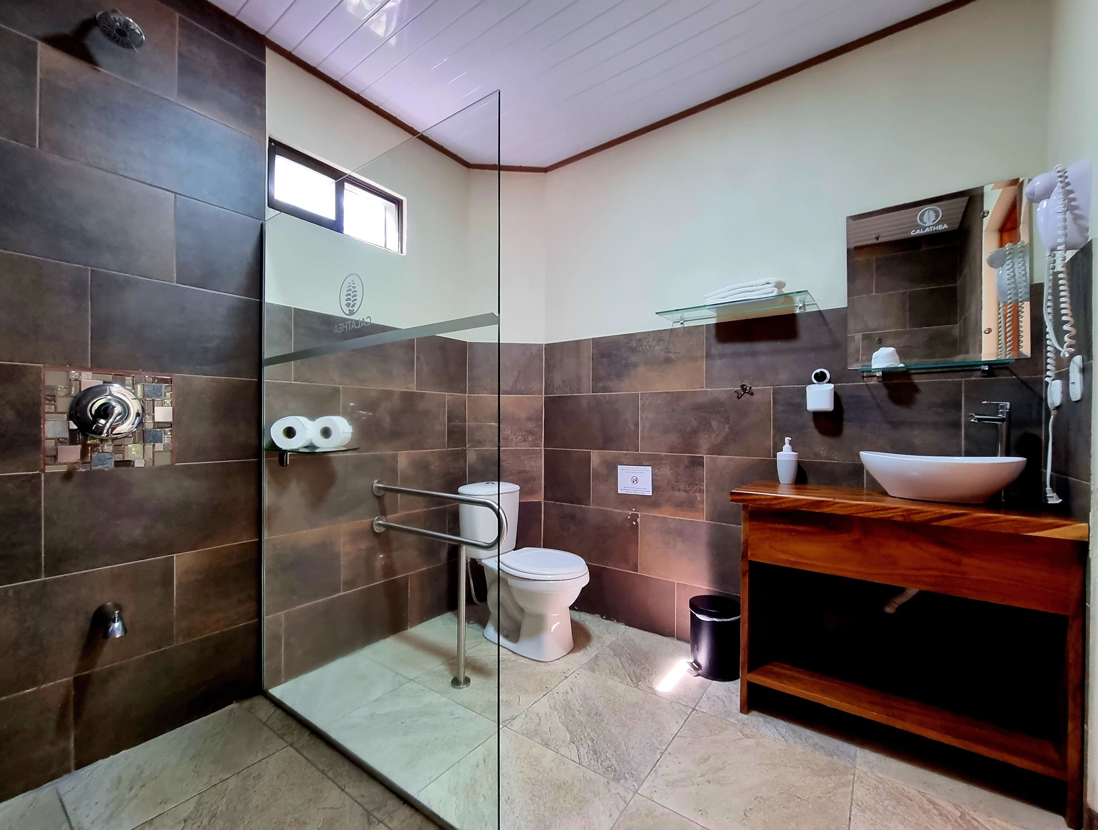 A modern bathroom with a glass shower enclosure, a toilet, a sink with a large basin, and a mirror above the sink.