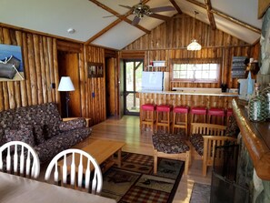 TV, fireplace, DVD player