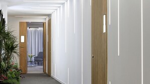 A modern hallway with a carpeted floor, wooden doors, and a potted plant on the left. - ChezmoiHomes Luxury Alhambra Penthouse Collection Alhambra (Granada)