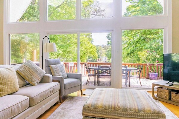 Smart TV, DVD player