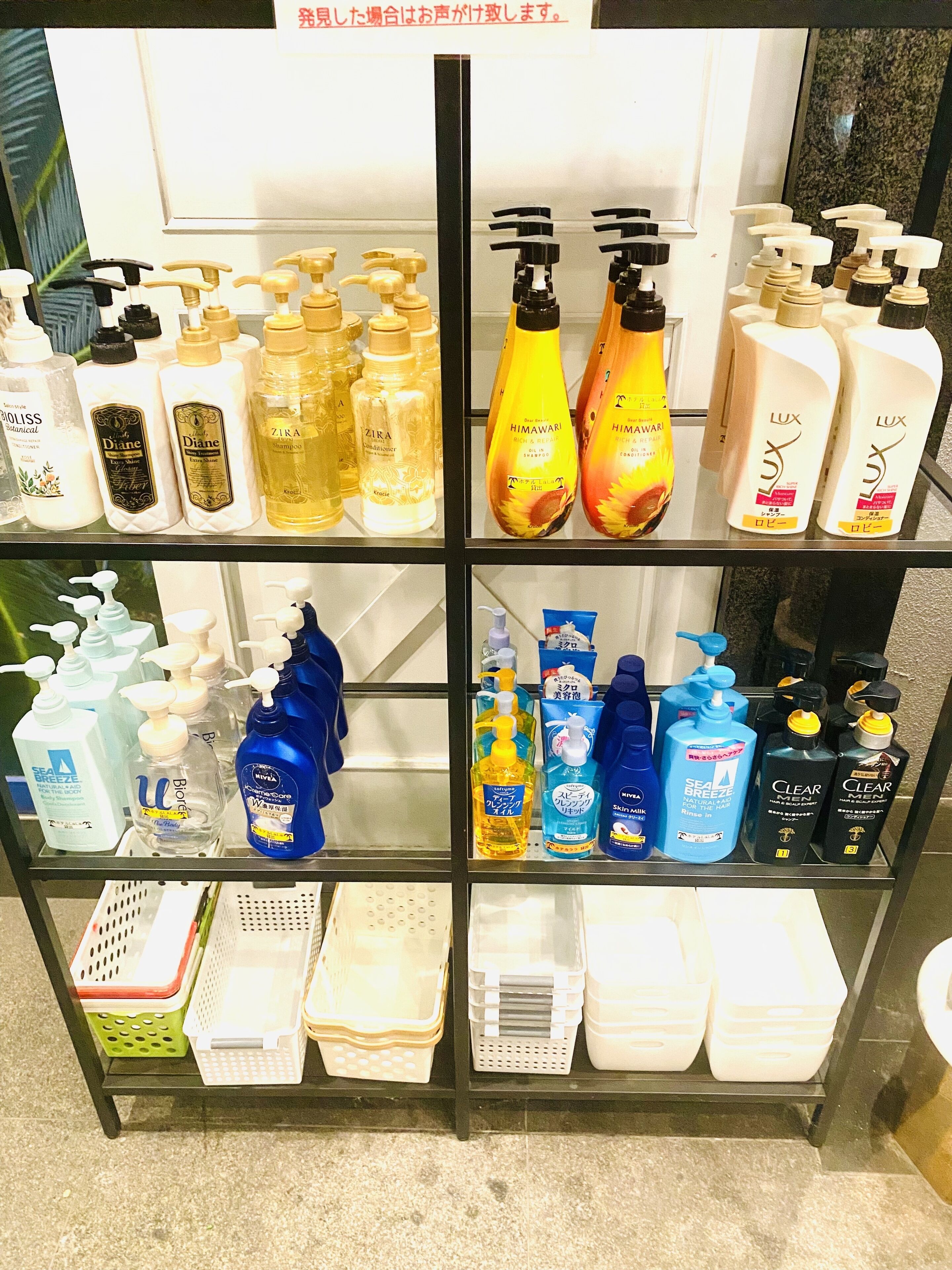 Ein Regal mit verschiedenen Körperpflegeprodukten, darunter Shampoos, Conditioner und Duschgels.