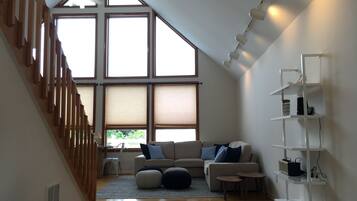 Älytelevisio, takka, kirjoja, stereot