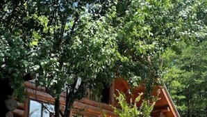 Una cabaña de madera con balcón y antena parabólica.
