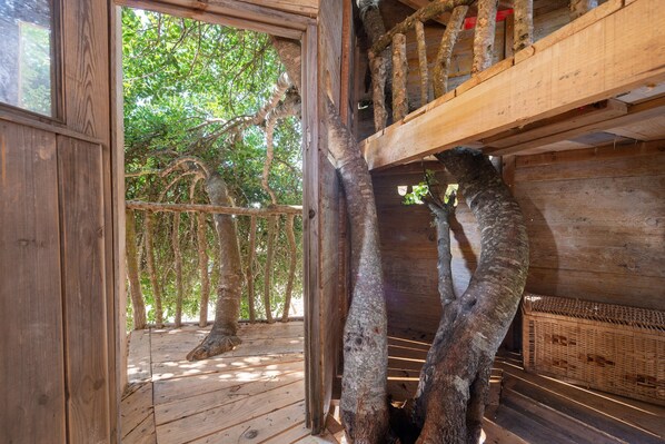 Property grounds - CAN ROSILLO - Villa with private pool in LLUCMAJOR. Free WiFi (Llucmajor)