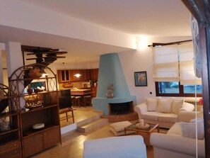 TV, fireplace, music library, video library