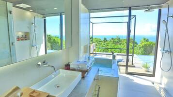 Separate tub and shower, free toiletries, hair dryer, bathrobes