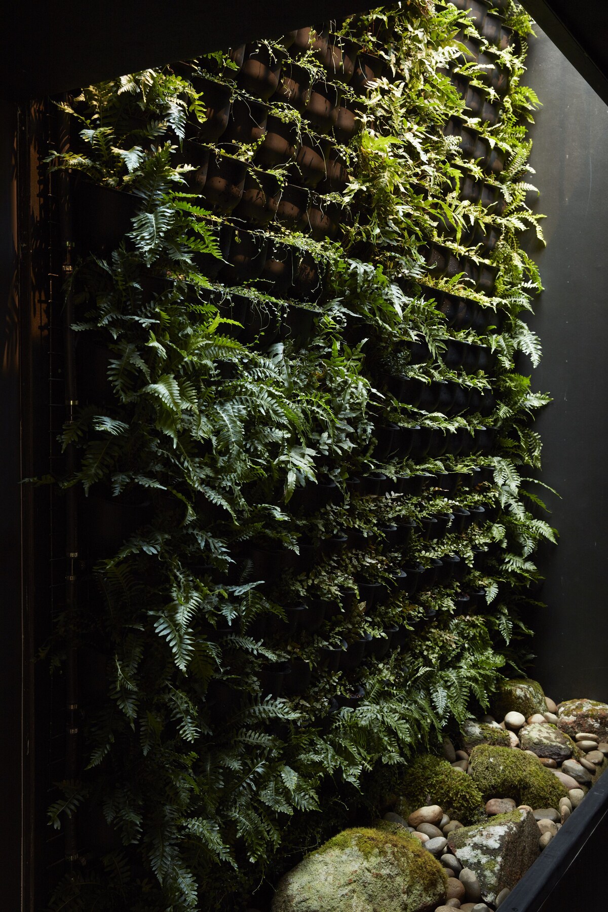 Moss Hotel