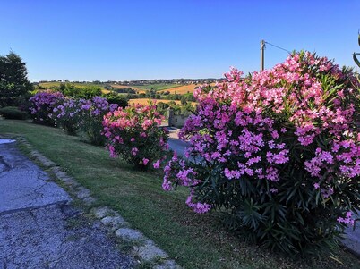 VILLA with POOL, soccer field, fitness corner, WiFi, air conditioning, PESARO