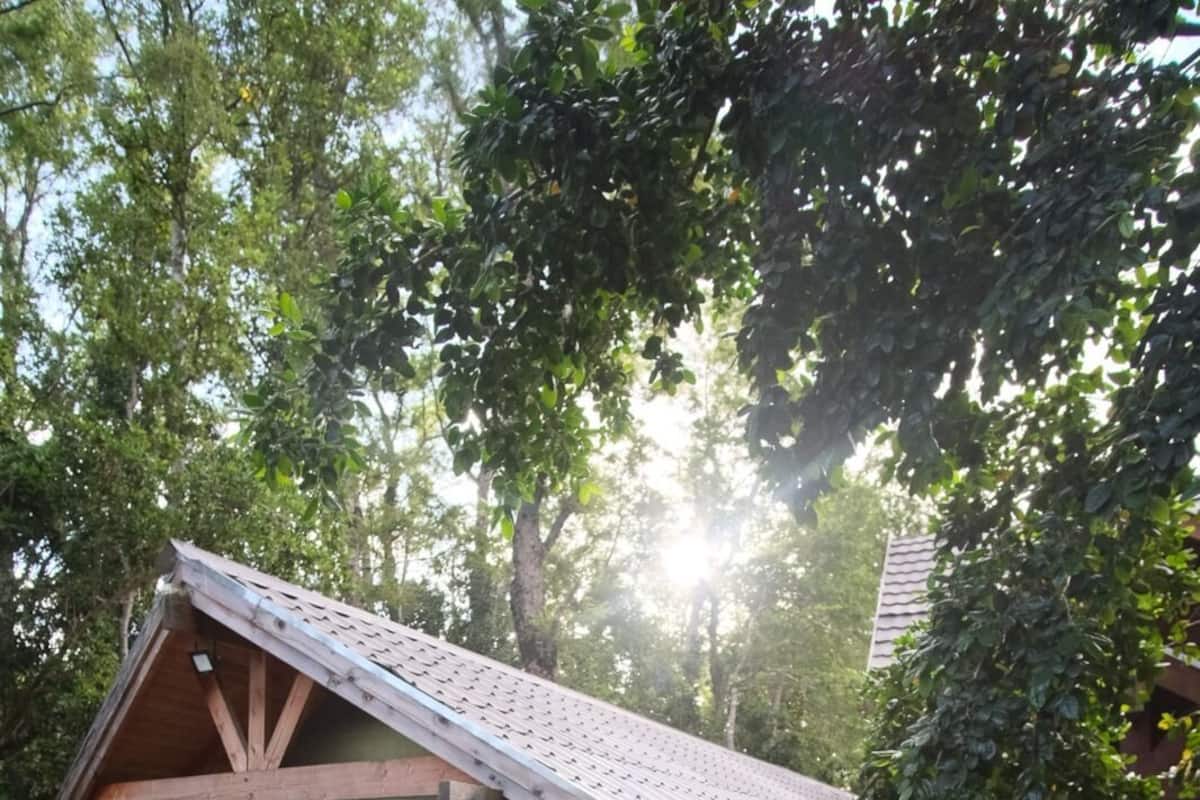 Los Boldos Cabin | 1 bedroom, individually decorated, individually furnished, free WiFi