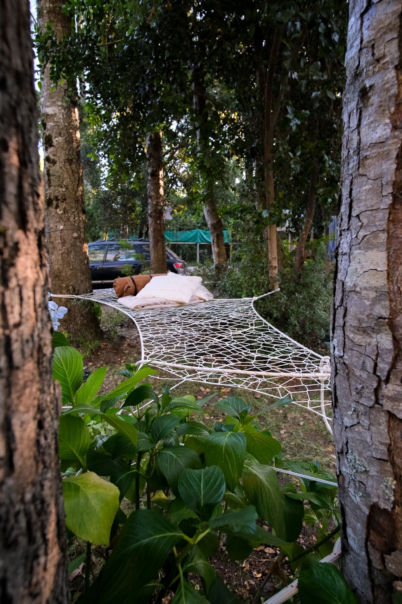 Foto - Casa de Noah Bed & Breakfast