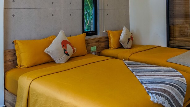 Ảnh chưa phân loại, 1 trong số 35 ảnh, nút