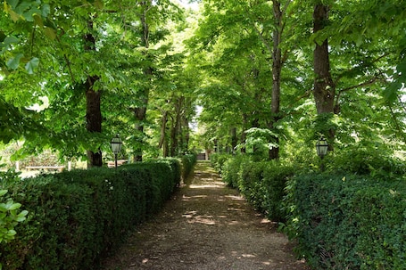 Property grounds. Luxury Suite in Renaissance Villa
