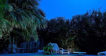 Suuri studio sopii kauniiseen Palm Tree -motiiviin