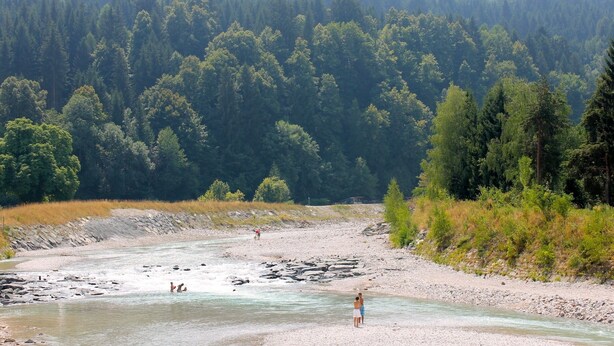 Ein Flussufer mit steiniger Küste und dichtem Wald im Hintergrund.