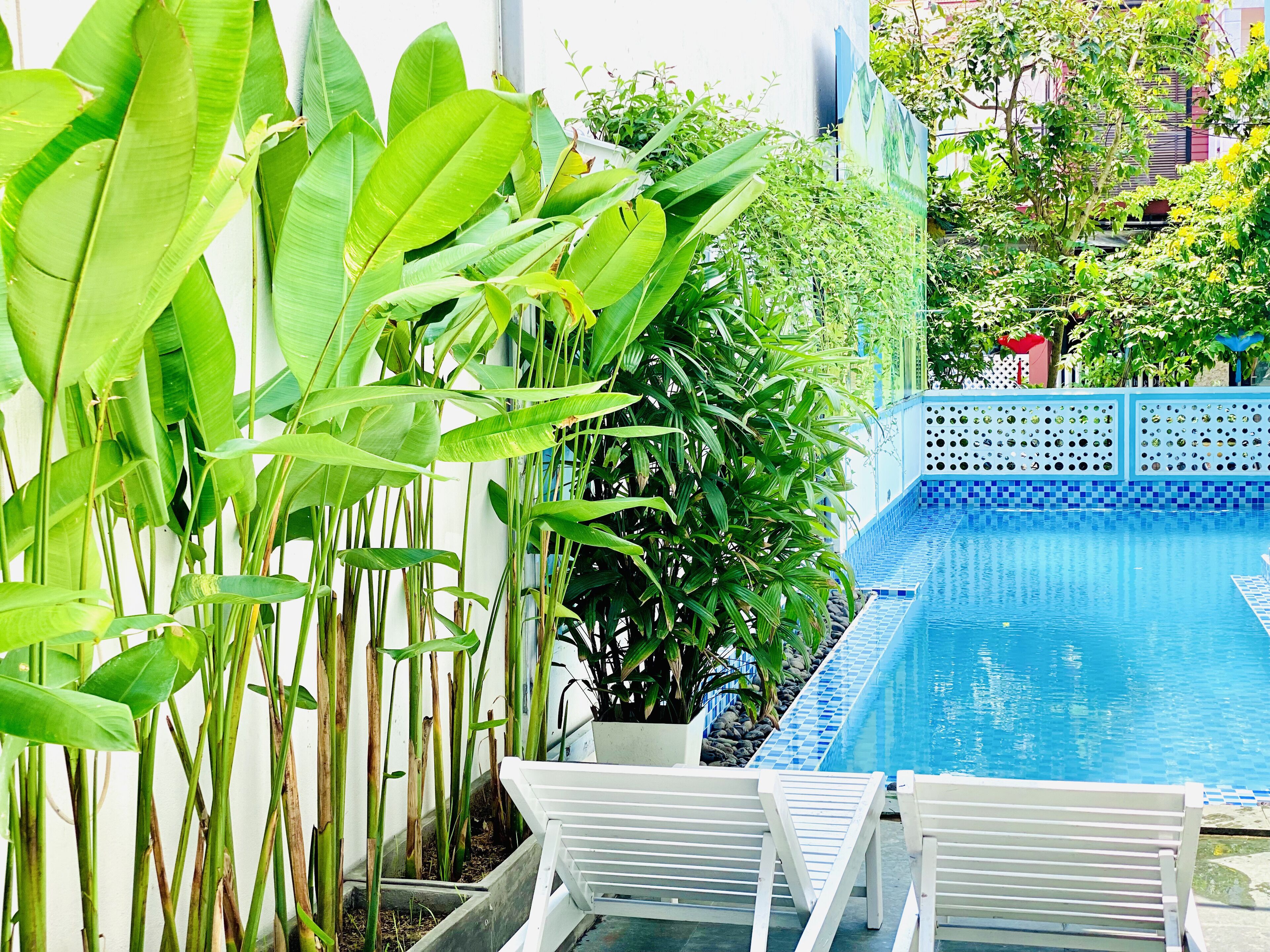 Un espace piscine agrémenté de chaises longues blanches, d’une piscine aux carreaux bleus et d’une végétation luxuriante.