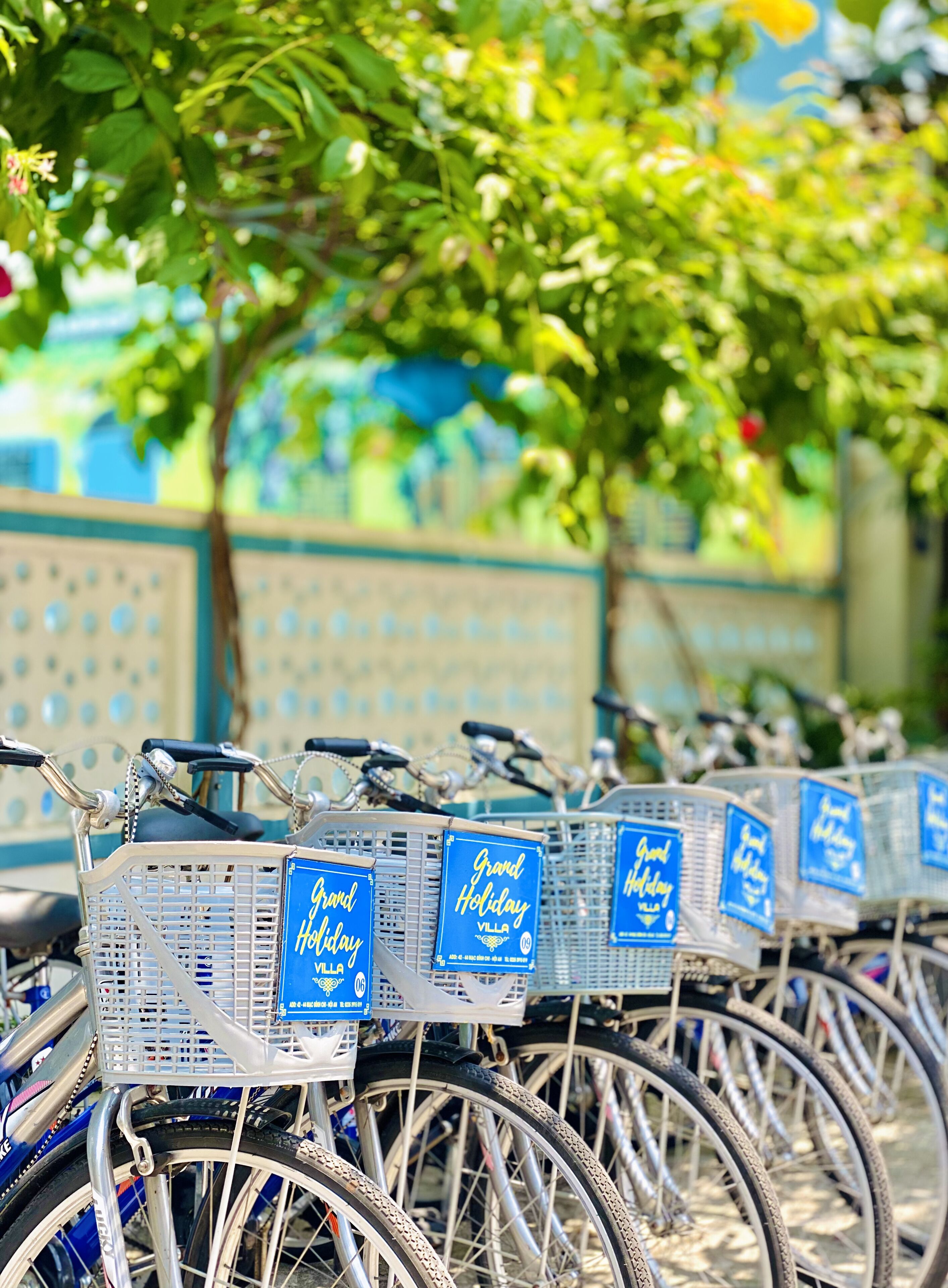 A row of bicycles with baskets, each with a 'Grand Holiday Villa' sign.