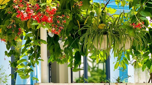 A sign reading "GRAND HOLIDAY VILLA" with a gate and lush greenery in the background. - Grand Holiday Villa (Da Nang)