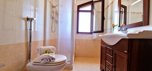 Shower, hair dryer, bidet, towels