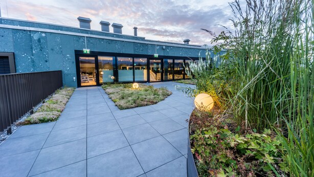 Un edificio moderno con entrada de vidrio, un camino pavimentado y un jardín ajardinado.
