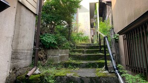 A narrow alleyway with steps leading to a building entrance, surrounded by greenery and a metal railing.