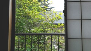 A view through a window with a grid pattern, overlooking a dense green tree area and a building with a sloped roof.