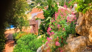 Ein Garten mit rosafarbenen Blüten und Gebäuden im Hintergrund.