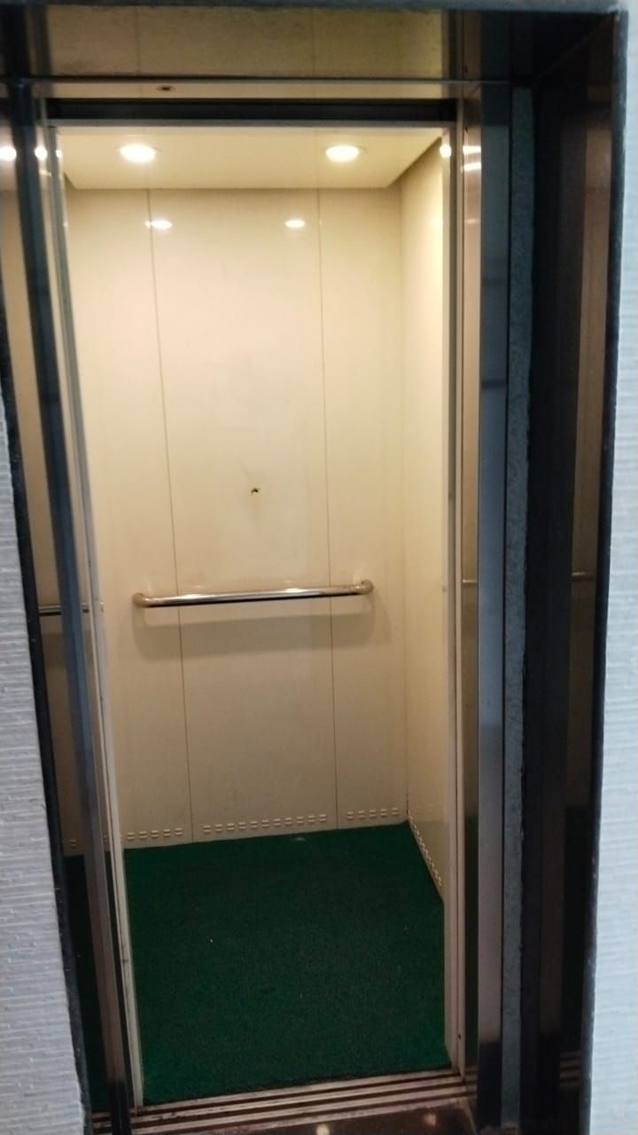 An elevator with a green carpet and a metal handrail.