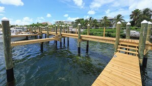 A wooden dock extending into calm water, surrounded by greenery and a clear sky.