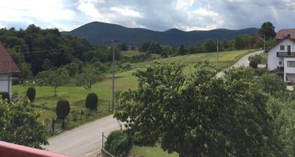 Apartment have 2 apartmana, with bathrooms. Available is a kitchen and a terrace