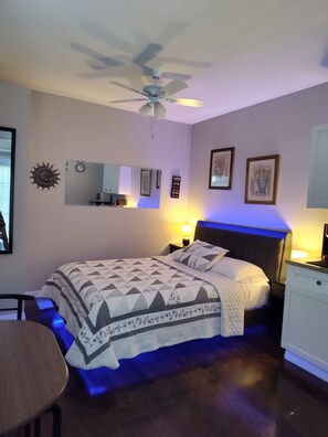 Iron/ironing board, free WiFi, bed sheets - Cozy, New, clean studio in North Tampa (Tampa)