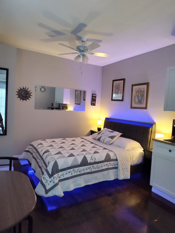 Estudio Acogedor, Nuevo Y Limpio En El Norte De Tampa - Tampa, FL