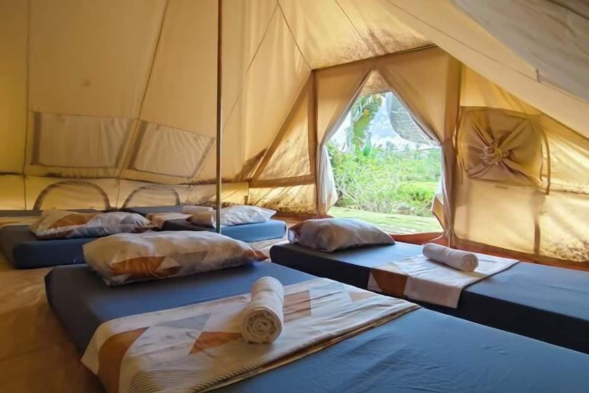 Desk, bed sheets