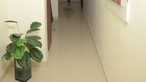 A hallway with a potted plant, a wooden door, and a window with blinds. - Shivaay Grand (Amritsar)