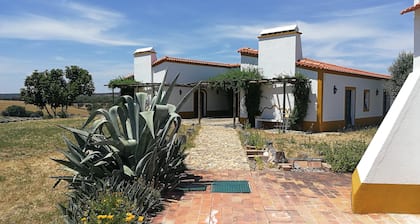 Monte Alentejano for 8 people!Ideal for children!We accept animals!
