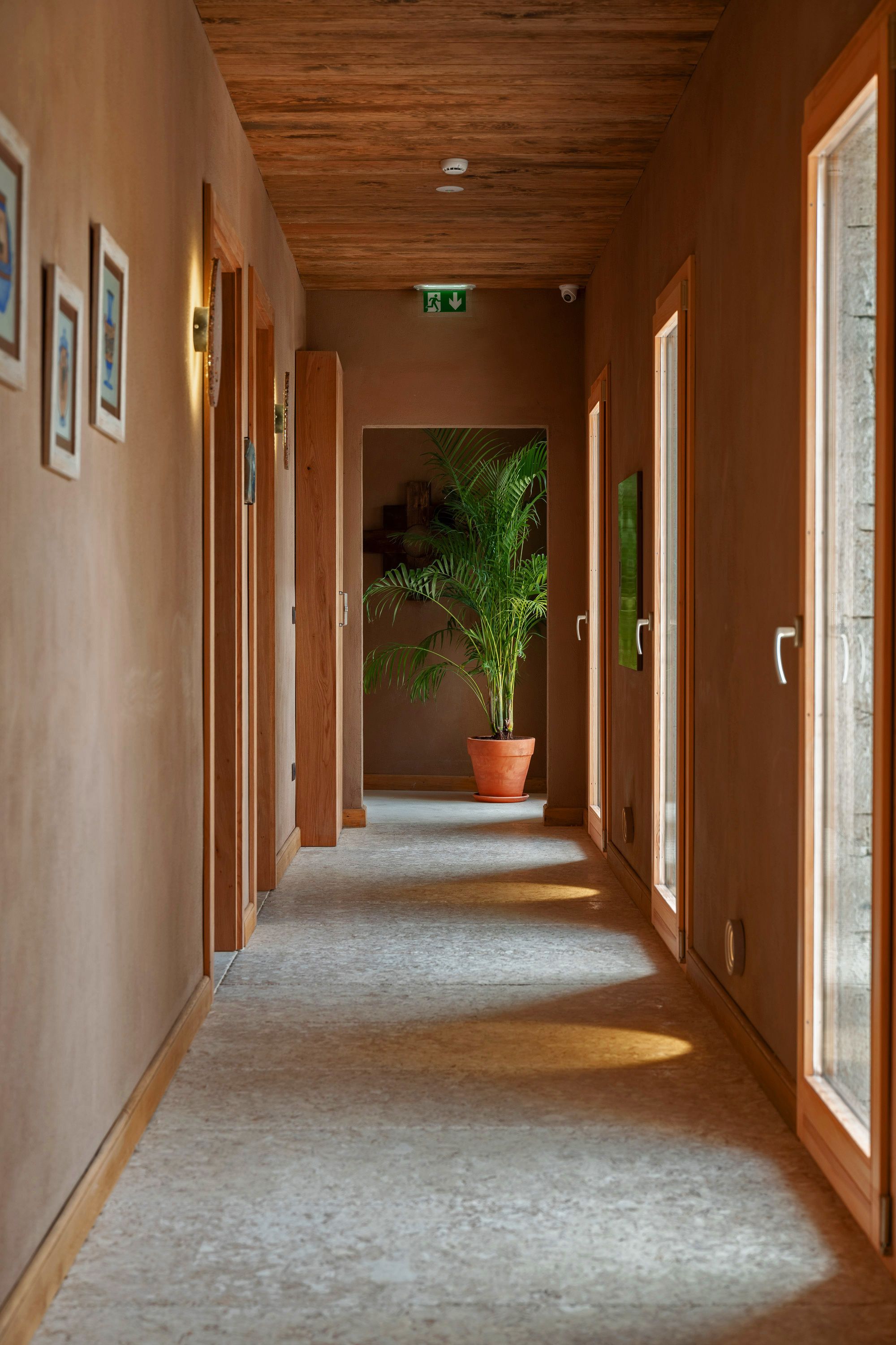 A hallway with wooden doors, a potted plant, and framed pictures on the walls.