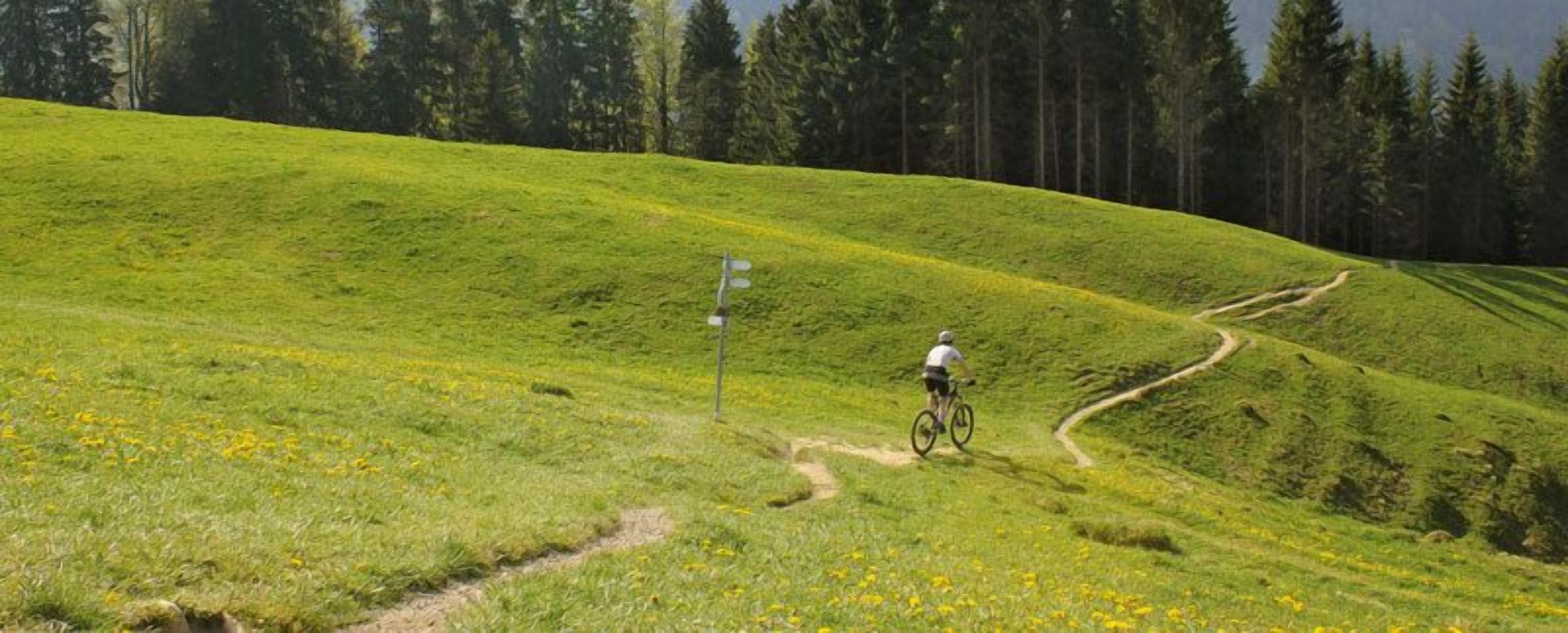 A cyclist on a grassy hill with a trail.