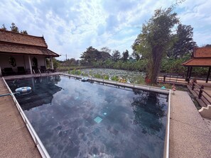 Kolam renang terbuka 