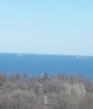 A coastal view with ships on the water and a forested area in the foreground. - Apartment Bella (Odesa)