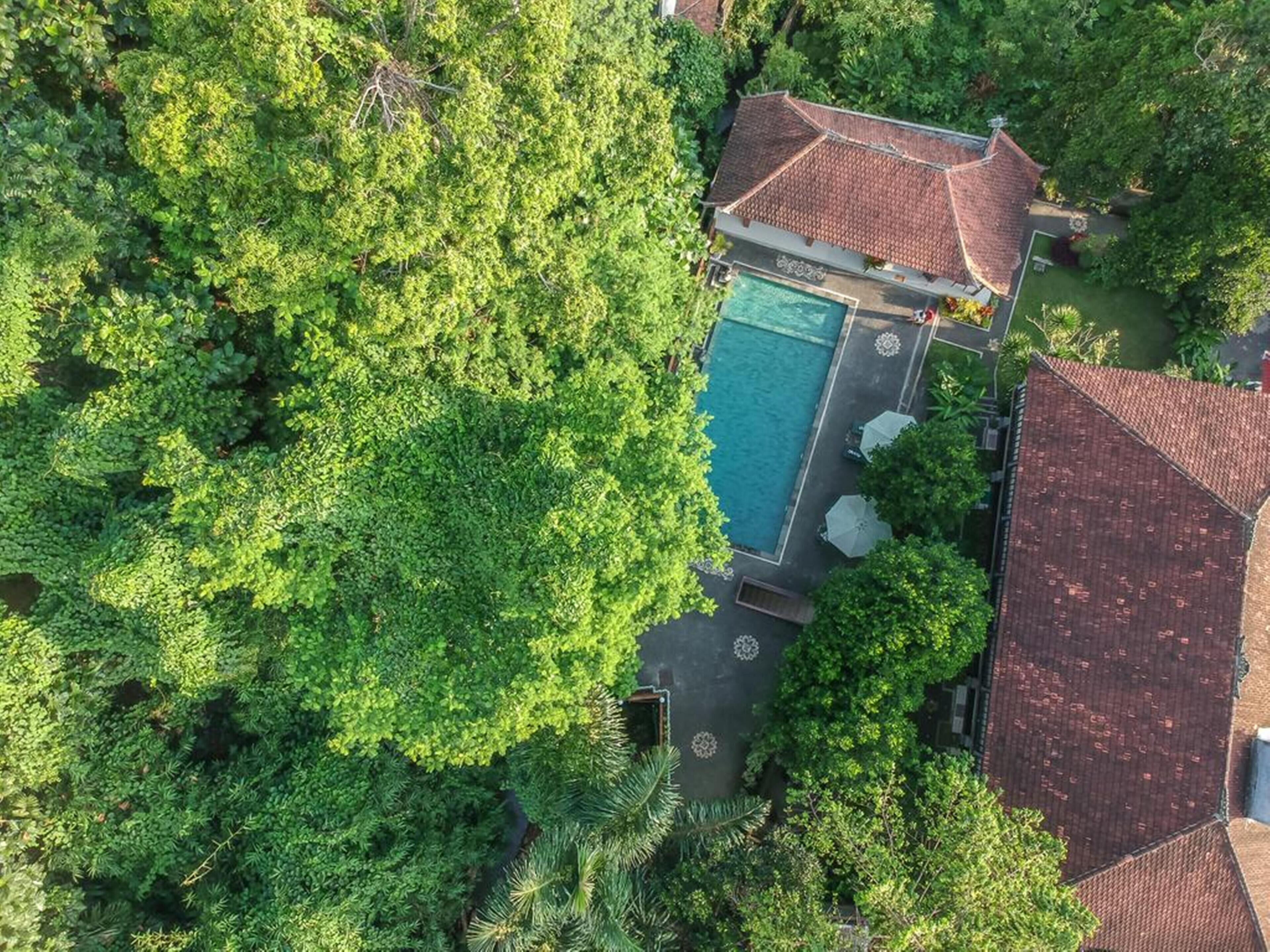 Foto - Adi Jaya Cottages Jungle Suites by EPS