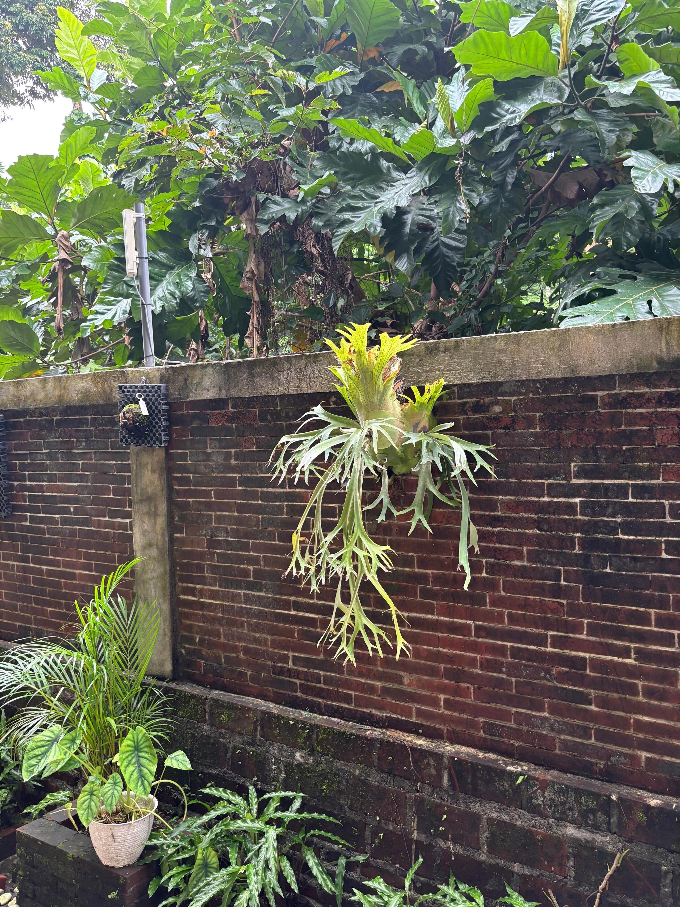 Photo - Adi Jaya Cottages Ubud Suites by EPS - CHSE Certified