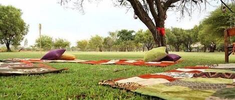 Un espacio al aire libre cubierto de césped, con mantas y almohadas dispuestas sobre el suelo.