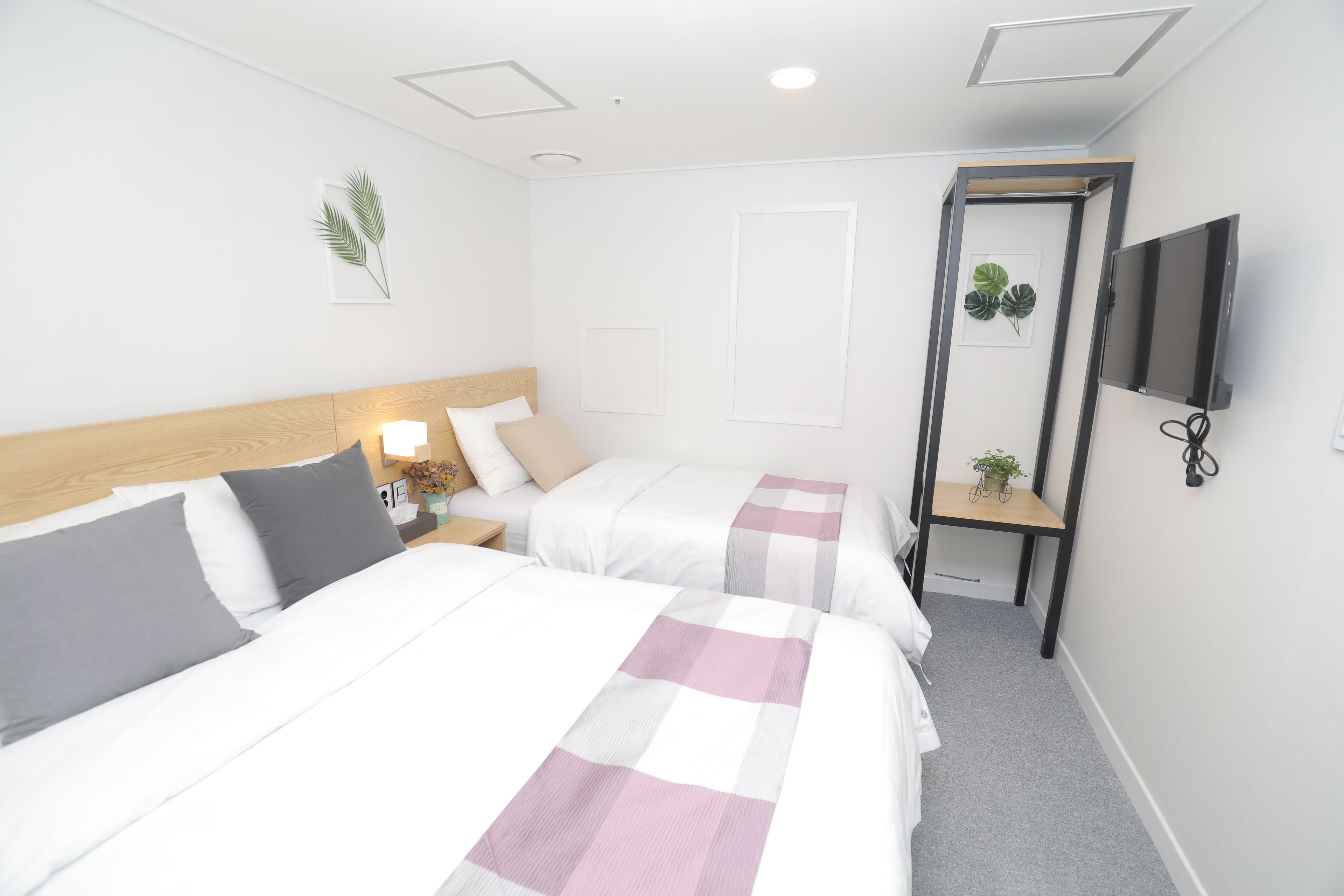 A hotel room with two beds, a TV, a small table with a plant, and a wall-mounted TV.