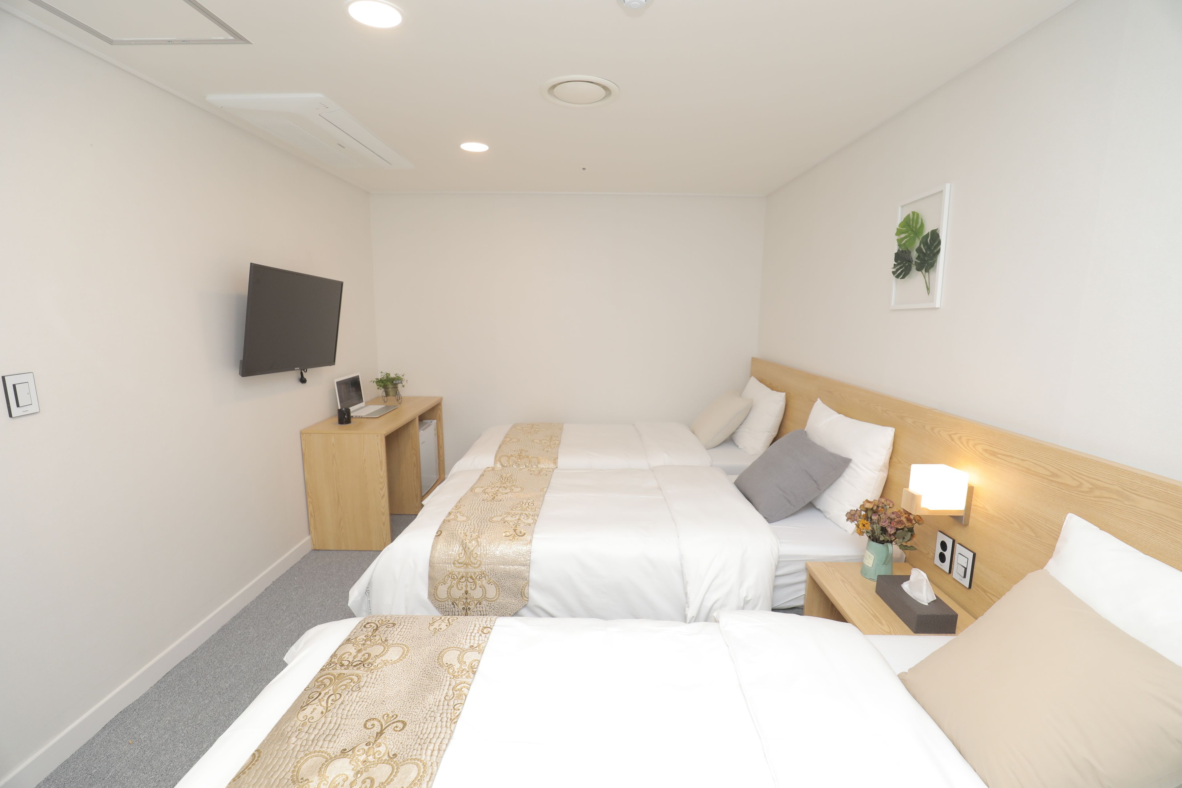 A hotel room with two beds, a TV, a bedside table with a lamp, and a wall-mounted plant.